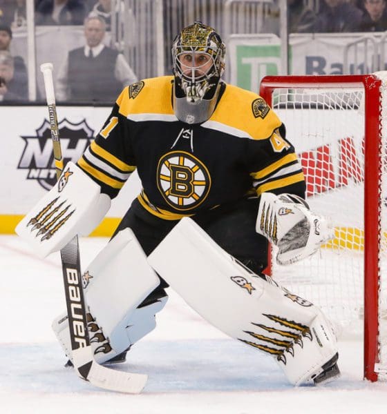 jaroslav-halak-boston-bruins