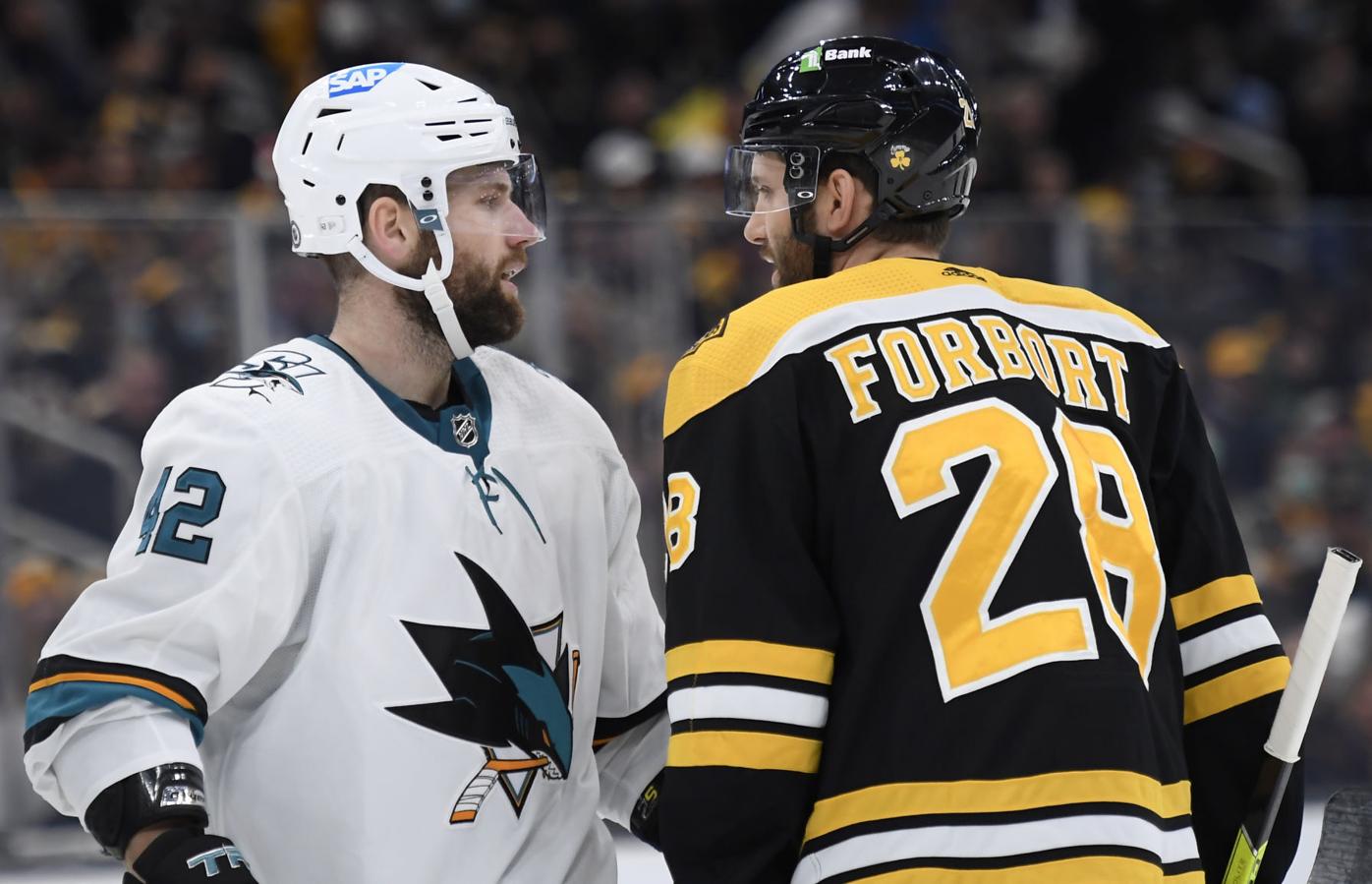 NHL Notebook: Derek Forbort - and his pup, Darla - are becoming unsung  heroes for this Bruins roster