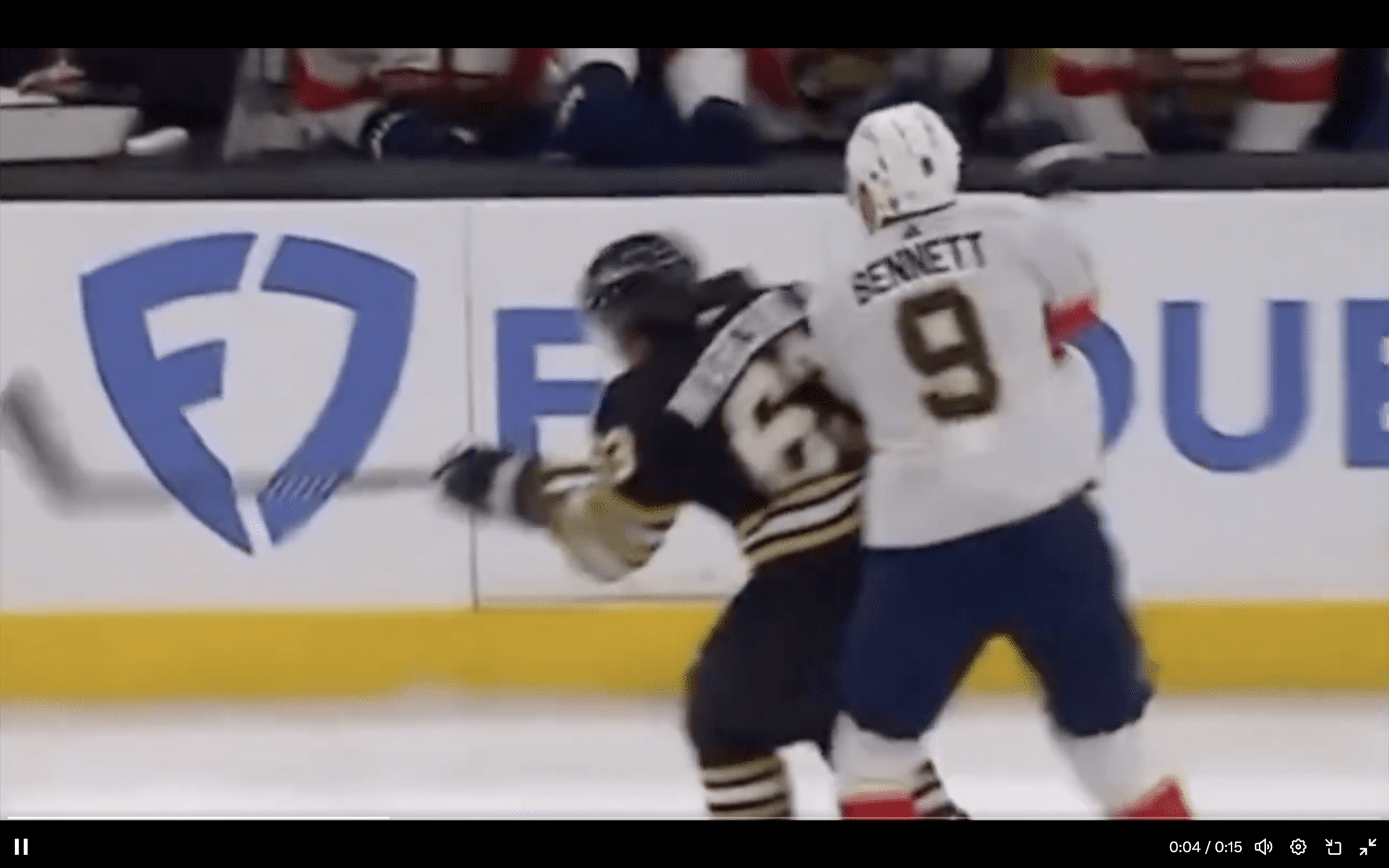 Boston Bruins