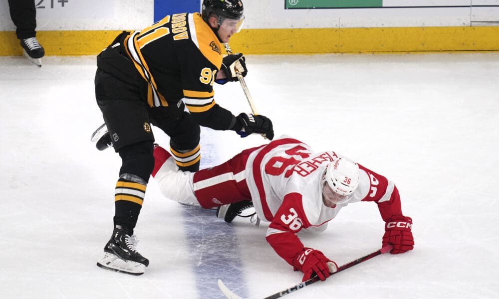 boston-bruins-nikita-zadorov-detroit-red-wings-lucas-raymond