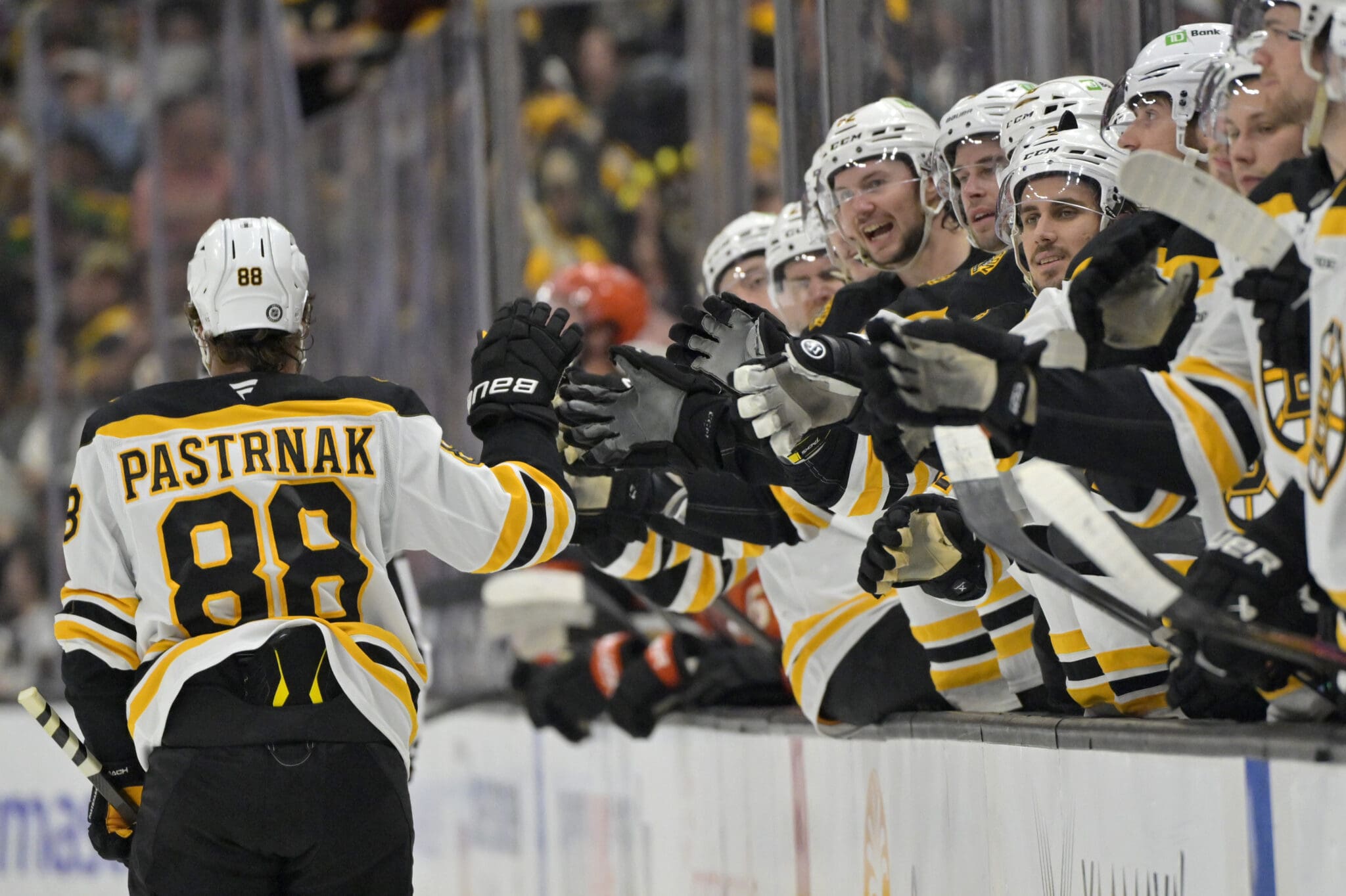 david-pastrnak-boston-bruins