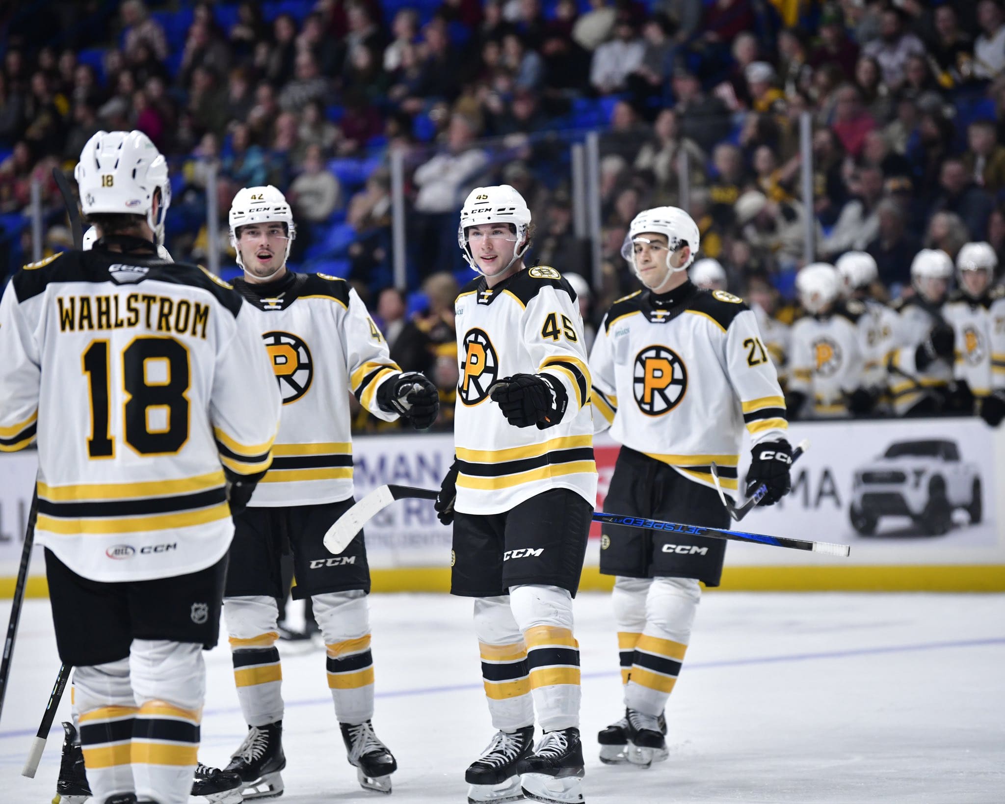 fraser-mintnen-boston-bruins
