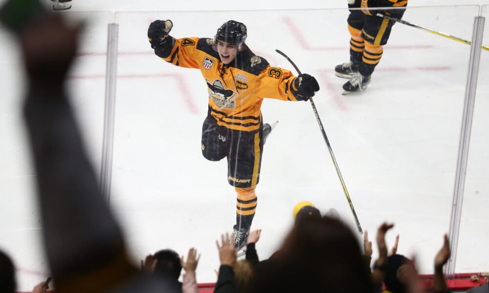 will-zellers-bruins-prospects
