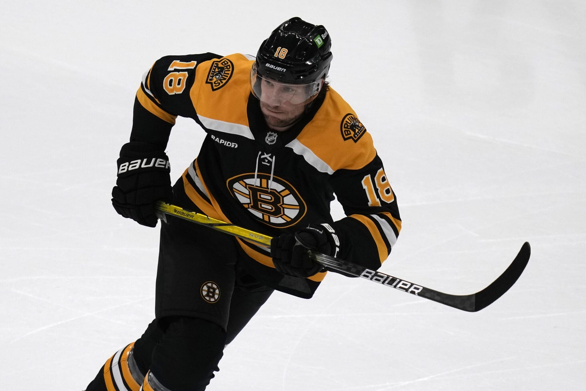 pavel-zacha-boston-bruins