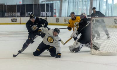 boston-bruins