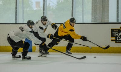 boston-bruins