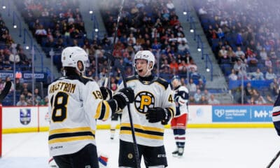 boston-bruins-prospects-dans-locmelis