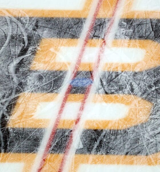 boston bruins, daily bean