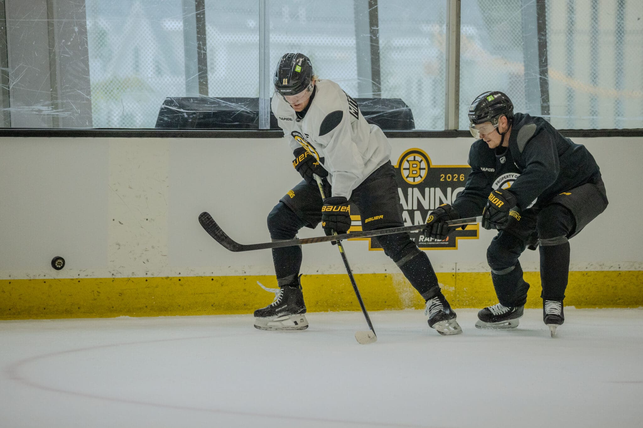 boston-bruins-casey-mittelstadt