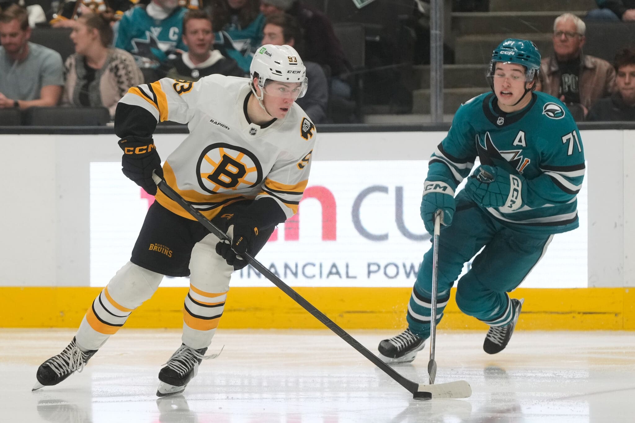 Sturm Torches Bruins’ Discipline: ‘Little Bit of Stupidity’ Costs Boston in San Jose