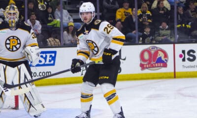 boston-bruins-victor-soderstrom