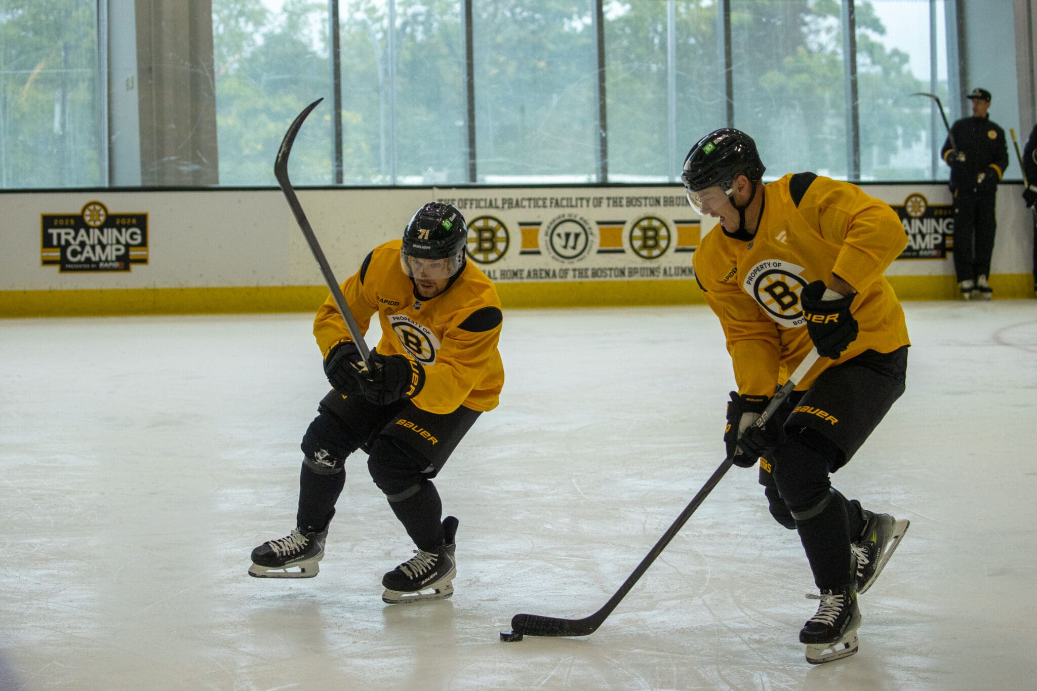 What Could the Bruins Get for Their Trade Chips?